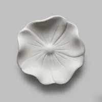 بیسکویت بشقاب سرامیکی شقایق