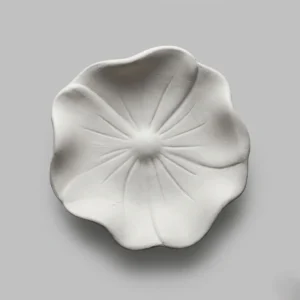 بیسکویت بشقاب سرامیکی شقایق