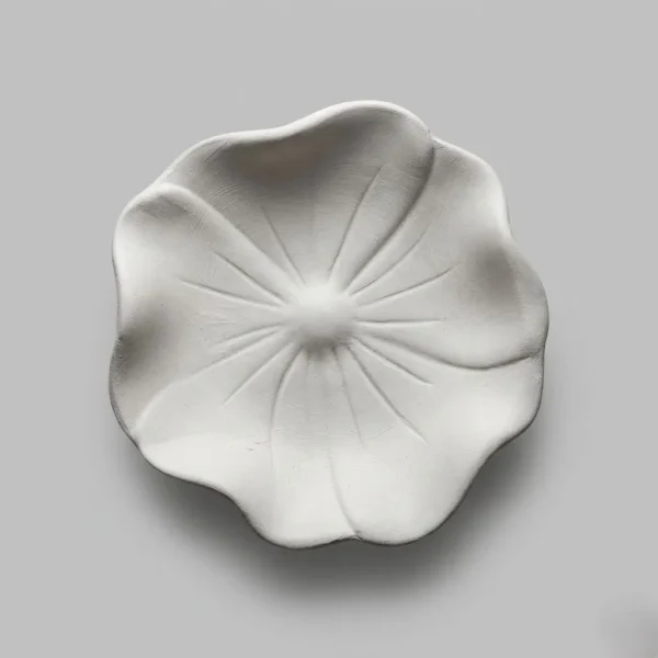 بیسکویت بشقاب سرامیکی شقایق