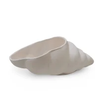 سرامیک خام و بدنه بیسکوییت صدف