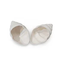 صدف مخروطی سرامیکی خام