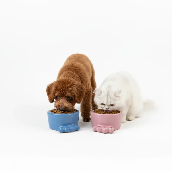 کاسه غذای سفالی سگ و گربه