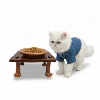 ظرف سفالی غذا سگ و گربه دستساز