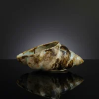 صدف سرامیکی