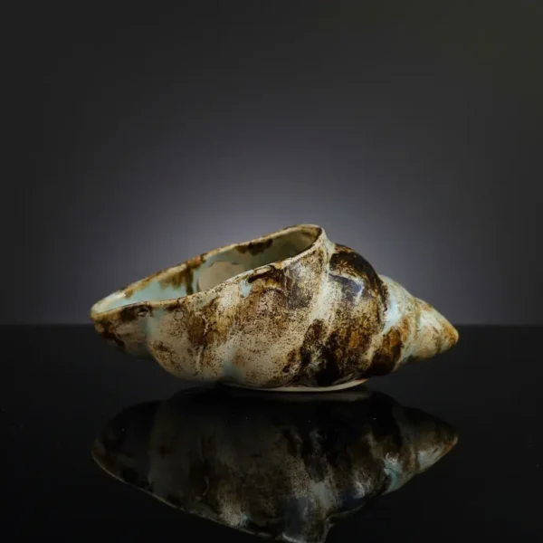 صدف سرامیکی