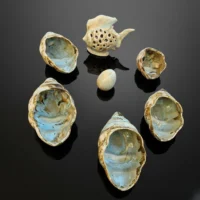 هفت سین سرامیکی صدف