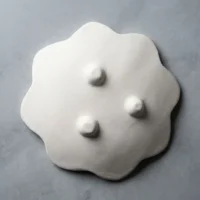 بیسکویت بشقاب سرامیکی سنتی