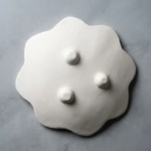 فروش بیسکویت بشقاب سرامیکی سنتی