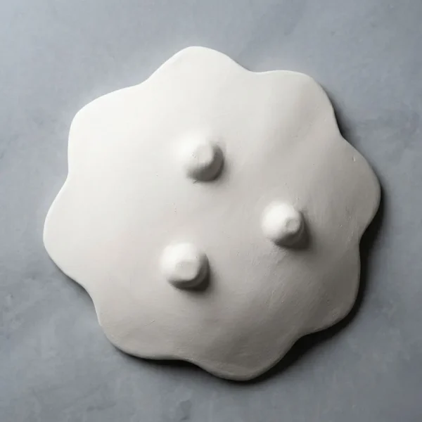 بیسکویت بشقاب سرامیکی سنتی