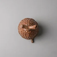 لانه فنچ
